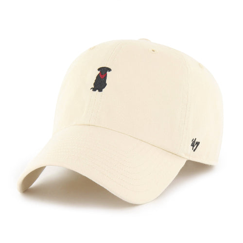 BOSTON TERRIER '47 CLEAN UP